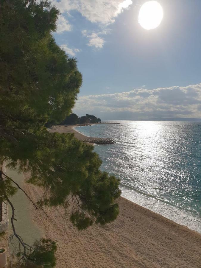 Apartment Dalija Baška Voda المظهر الخارجي الصورة